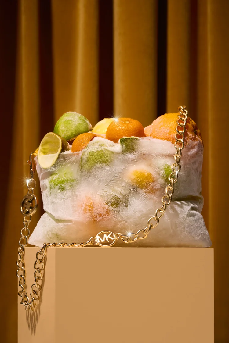 Frozen citrus purse concept